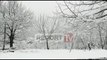 Report TV - Situata nga reshjet e dëborës në Dibër