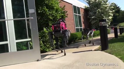 Introducing SpotMini  HD