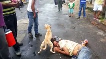 El peludo le daba besos para intentar despertarlo, al tiempo que evitaba que le tocaran a su humano ¡Esto es amor puro, amor perruno!