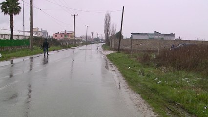 "Arbri Garden" ka sjelle 97 ngarkesa nga Amerika Latine