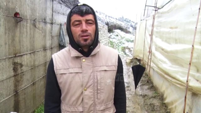 Dëbora rrezikon serat, fermerët e Lushnjës: U trembemi dhe ngricave- Top Channel Albania - News