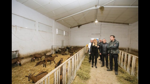 Report TV - Veliaj: 52 mundësi që fermerët të përfitojnë nga skema financuese