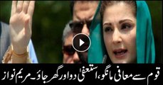 There were dharnas (sit-ins) in the script of khalai makhlooq (aliens), says Maryam Nawaz