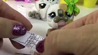 Fan Mail #17 - Vern Letters Mystery Surprise Mommies Littlest Pet Shop Opening LPS