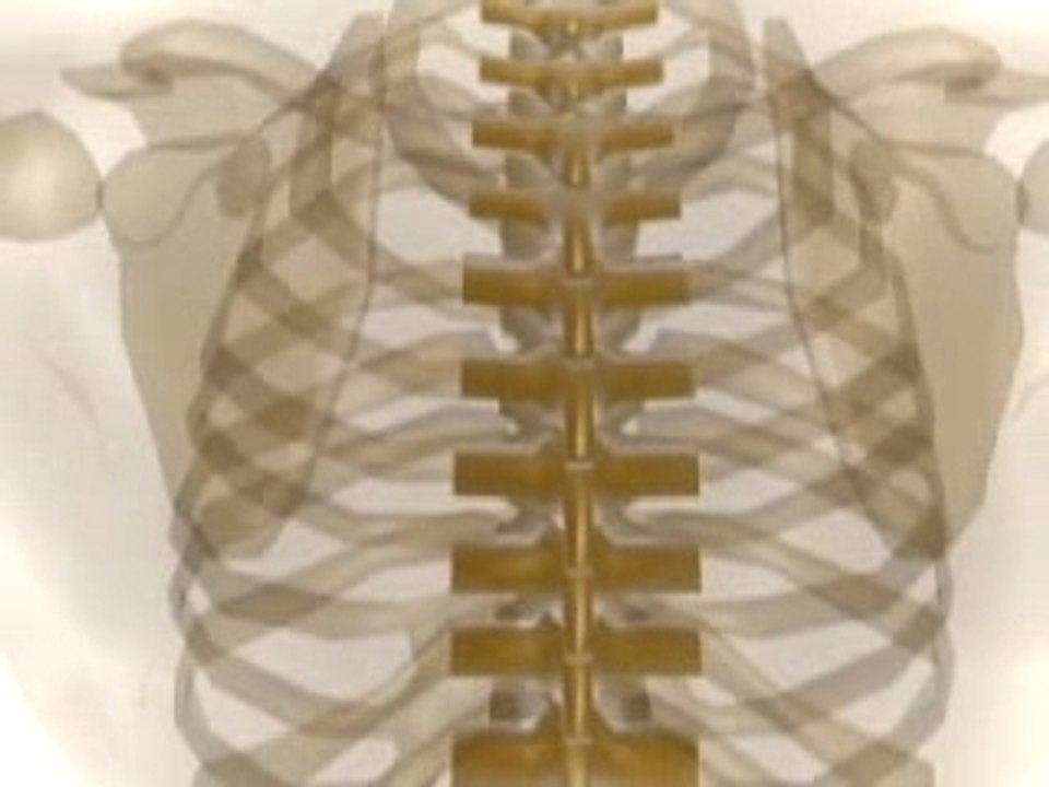 Stomach Sleeper Pillow