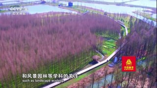 《走遍中国》 20180312 5集系列片《森林城市》（1） 森林里的家 | CCTV中文国际