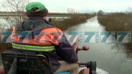 Скачать видео: SHKODER, RIKTHEHEN PERMBYTJET, MBI 300 HEKTARE TOKE NEN UJE  - News, Lajme - Kanali 16