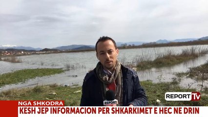 Report TV - Shkodër, përmbyten 500 ha, Oboti në rrezik nga përmbytjet
