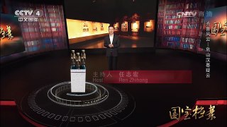 《国宝档案》 20170524 齐鲁风云——危山汉墓疑云 | CCTV-4