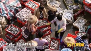 《远方的家》 20170413 一带一路（138）千年古港 瓜果飘香 | CCTV-4