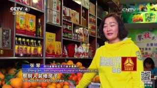 《走遍中国》 20170406 5集系列片《盛开的攀枝花》（4）自然的馈赠 | CCTV-4
