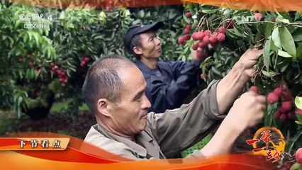 《远方的家》 20170404 一带一路（131） 丝路古韵话鹏城 | CCTV-4
