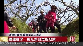 [中国新闻]清明好春光 踏青赏花正当时 | CCTV-4