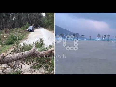 Ora News - Era rrëzon pishat në Pyllin e Sodës. Dallgët pushtojnë Lungomaren