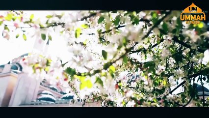 নামাযের দিকে এসো -- শাইখ তামিম আল আদনানী (হাফিজাহুল্লাহ)