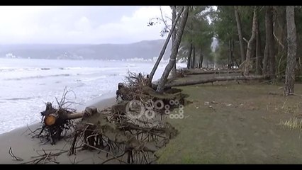 Ora News - Erozioni "rrëmben" pishat në Kune Vain, Lezhë