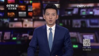 [中国新闻]萌翻！小仓鼠狂吸意大利面 | CCTV-4
