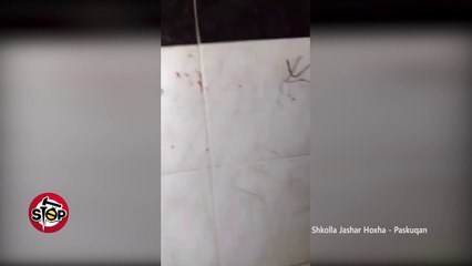 Stop - Shkolla e Paskuqanit...po ju zuri, mos bëni gabim të shkoni në tualet...