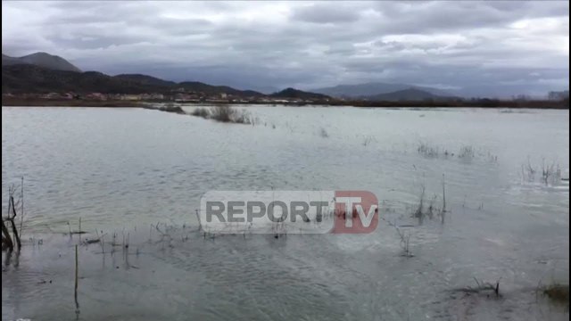 Përmbytjet në Shkodër, flasin nën kolonel i FA, deputeti dhe administratori i njësisë Ana e Malit