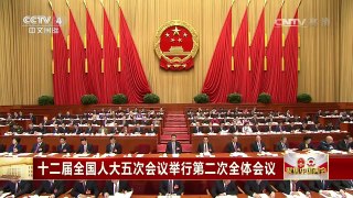 [中国新闻]十二届全国人大五次会议举行第二次全体会议 | CCTV-4