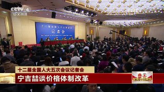 [中国新闻]十二届全国人大五次会议记者会 宁吉喆谈价格体制改革 | CCTV-4