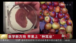 [中国新闻]医学新方向 苹果上“种耳朵” | CCTV-4