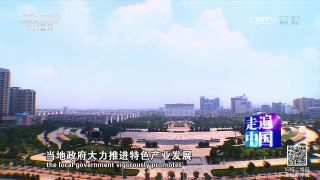 《走遍中国》 20170301 10集系列片《小康路上》（8）产业拔穷根 | CCTV-4