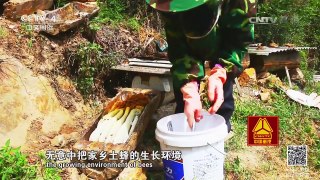 《走遍中国》 20170227 电商闯富路 | CCTV-4