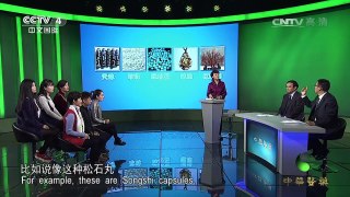 《中华医药》 20170226 洪涛信箱：雪域藏医 | CCTV-4