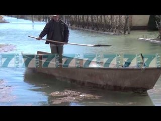 NE OBOT QARKULLOHET VETEM ME VARKA - News, Lajme - Kanali 7