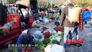 《外国人在中国》 20170214 家在苍山洱海边 | CCTV-4