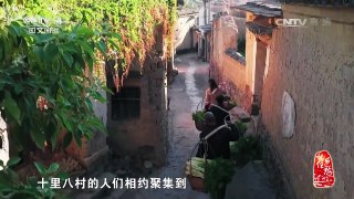 《记住乡愁 第三季》 20170213 第二十八集 西庄镇——滇南边镇 百忍 | CCTV-4