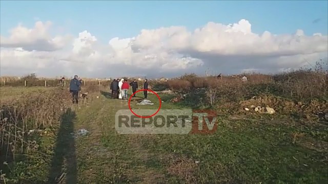 Report TV -Gjendet një kufomë e groposur në Fier, dyshohet për vrasje