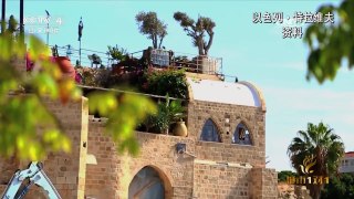 《城市1对1》 20170115 大美之城 中国 额济纳——以色列 特拉维夫 | CCTV-4