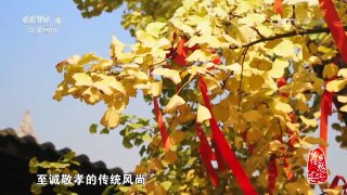 《记住乡愁 第三季》 20170112 第八集 孝泉镇——孝老敬亲 推恩及人 | CCTV-4