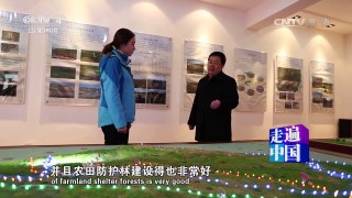 《走遍中国》 20161221 可再生的绿色煤田 | CCTV-4