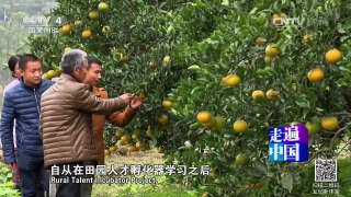 《走遍中国》 20161220 田园人才孵化器 | CCTV-4