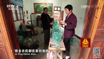 《走遍中国》 20161213 因湖而兴 | CCTV-4