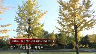 [2016中华之光]候选人：傅益瑶 | CCTV-4