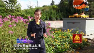 《走遍中国》 20161208 甜蜜的事业 | CCTV-4