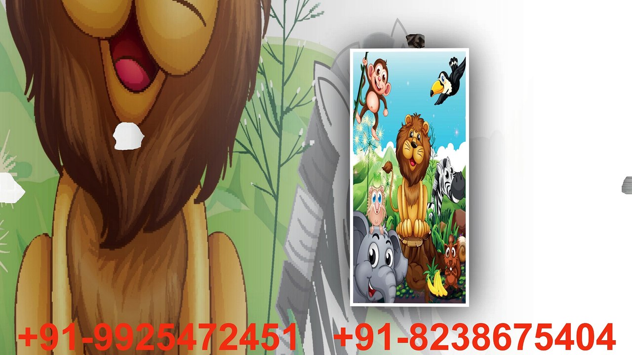 Door Paper Print, Digital Printed Door, Micro Coated Door - RV Sign