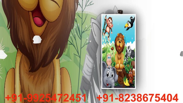 Door Paper Print, Digital Printed Door, Micro Coated Door - RV Sign