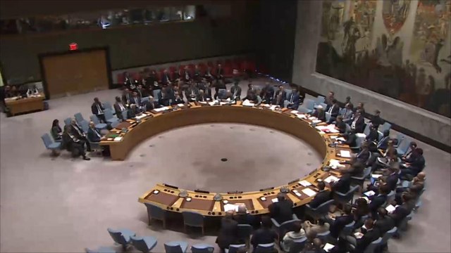 تخبط المواقف المصرية حيال القضايا العربية بمجلس الأمن الدولي