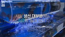 [엠빅비디오] 수은 중독 광어, 실화냐?