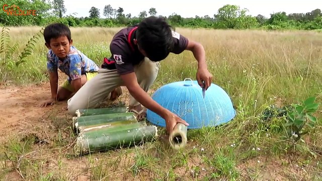 The First Primitive DIY Creative Snake Trap Using? Bamboo Pipe Branches Deep Hole That Work 100%