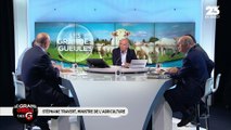 Le Grand Oral de Stéphane Travert, ministre de l'Agriculture et de l'Alimentation - 04/07