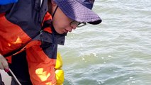 [대전·대덕] 해양생물자원관, 금강 하구 미세먼지 대책 연구 / YTN