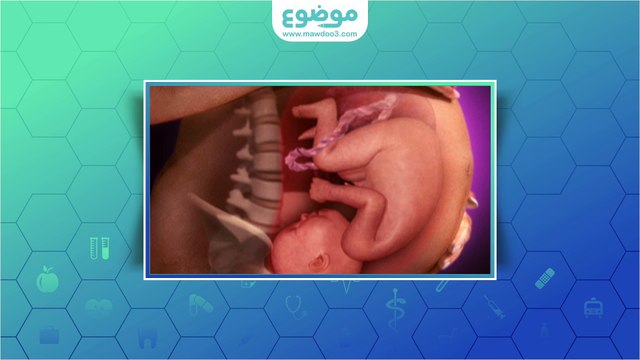 حركة الجنين في الشهر السابع