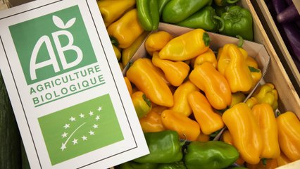 Hôpital de Lannemezan : manger local, bio et de qualité, c'est possible !