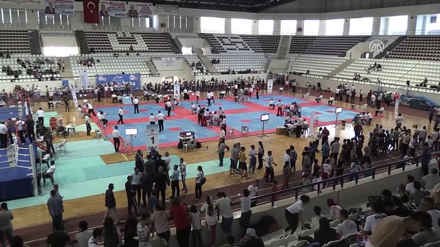 Dünya ve Avrupa kick boks şampiyonaları Türkiye'de yapılacak - ELAZIĞ